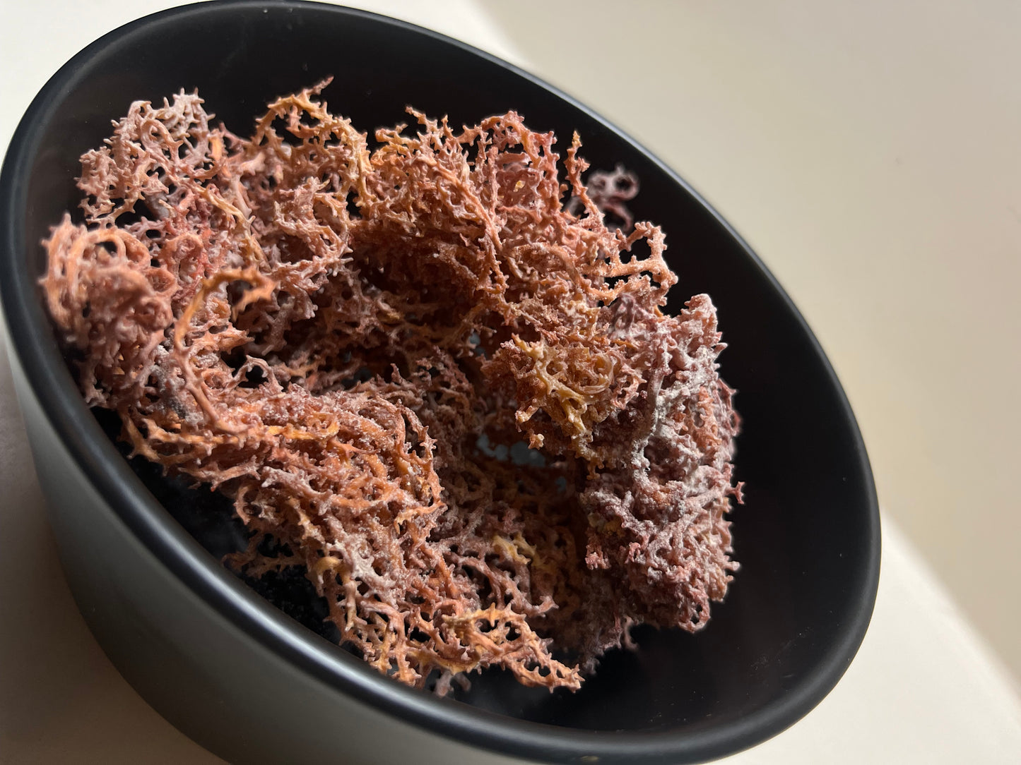 Sea Moss